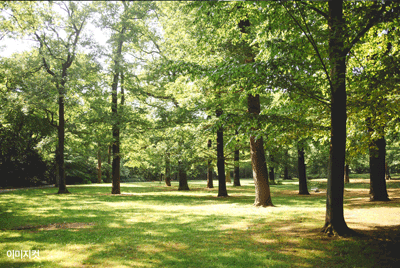 호매실역 스카이시티 주거 환경 이미지